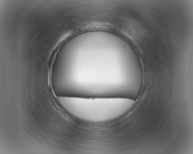 X0000080101219200612080921