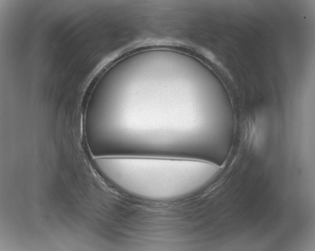 X0000080101221200612080921