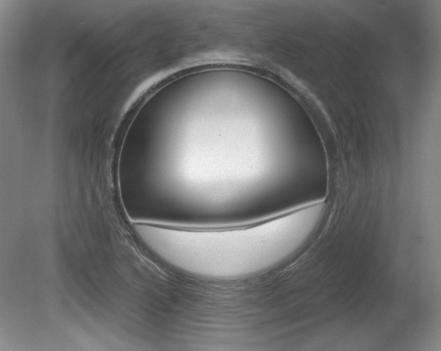 X0000080101222200612080921