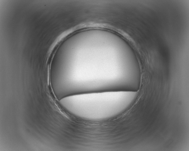 X0000080101223200612080921