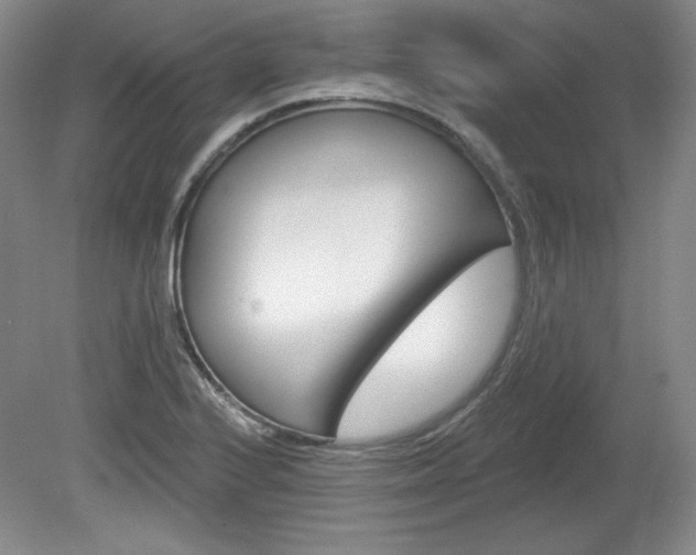 X0000080101224200612080921