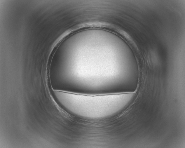X0000080101229200612080921