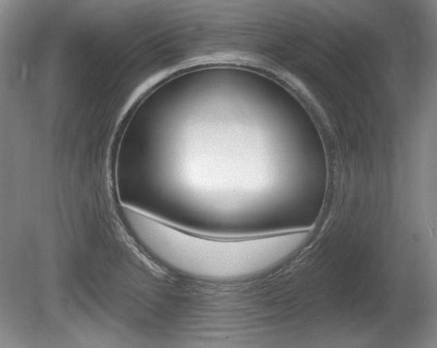 X0000080101230200612080921