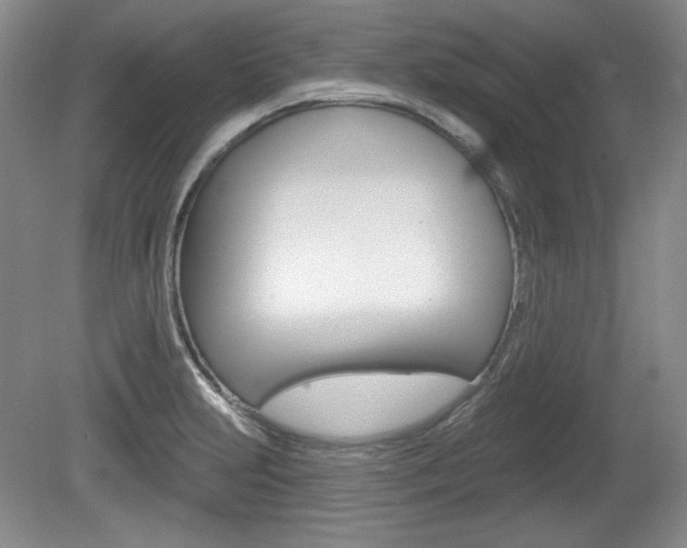 X0000080101231200612080921