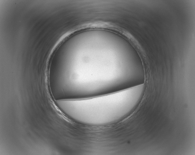 X0000080101232200612080921