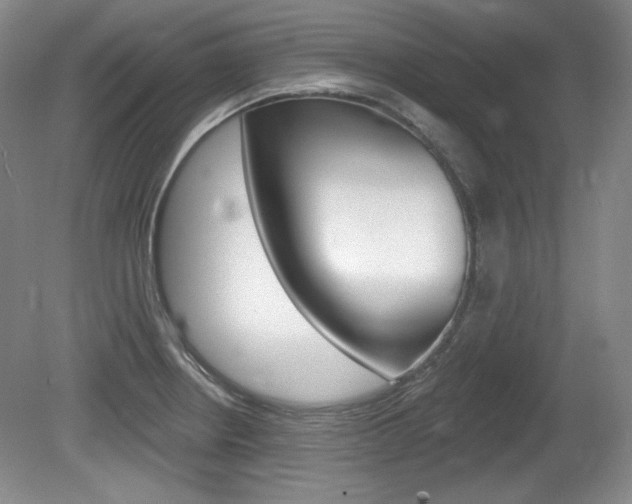 X0000080101234200612080921