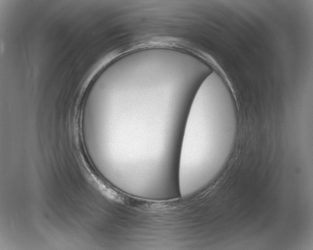 X0000080101235200612080921