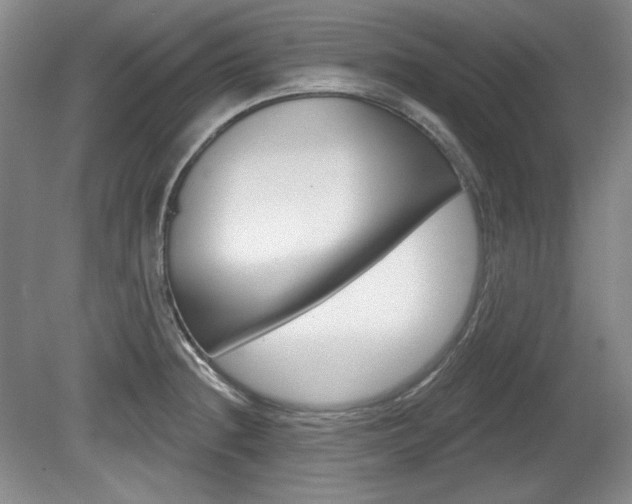 X0000080101236200612080921