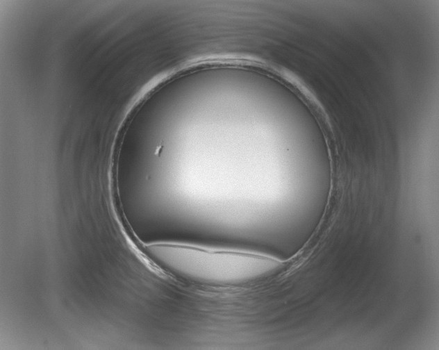 X0000080101237200612080921