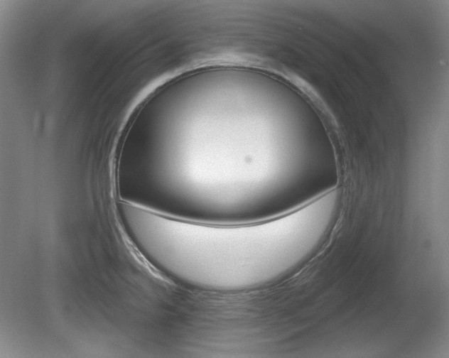 X0000080101238200612080921