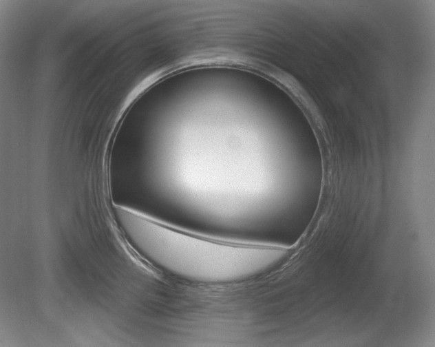 X0000080101242200612080921