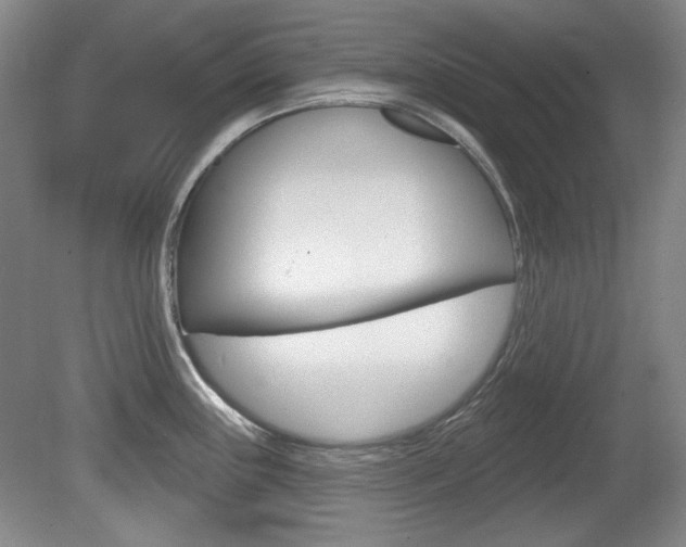 X0000080101243200612080921