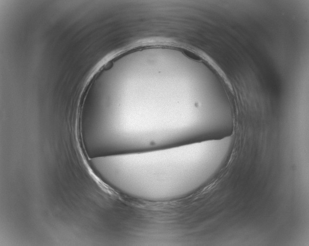 X0000080101245200612080921