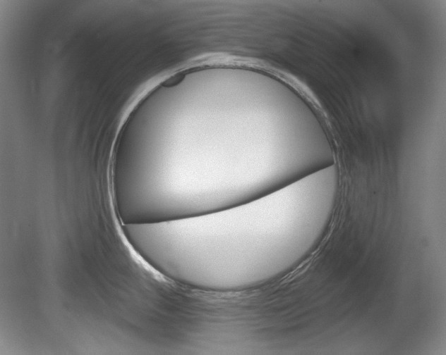 X0000080101247200612080921
