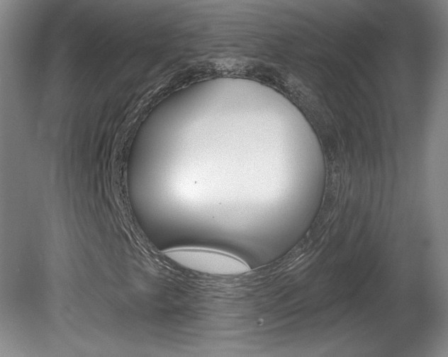 X0000080101249200612080920