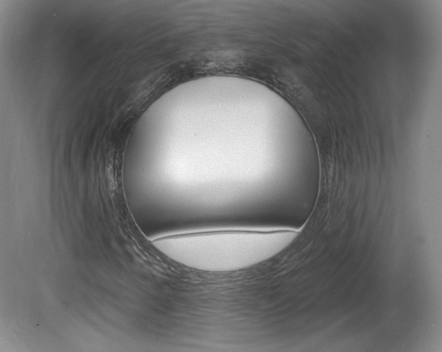 X0000080101250200612080920