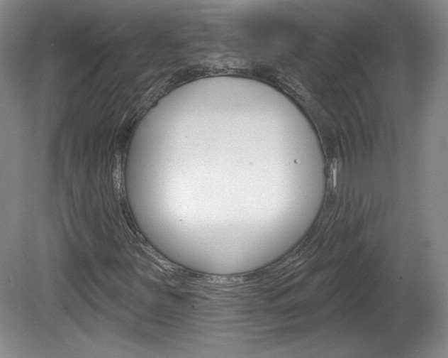 X0000080101251200612080920