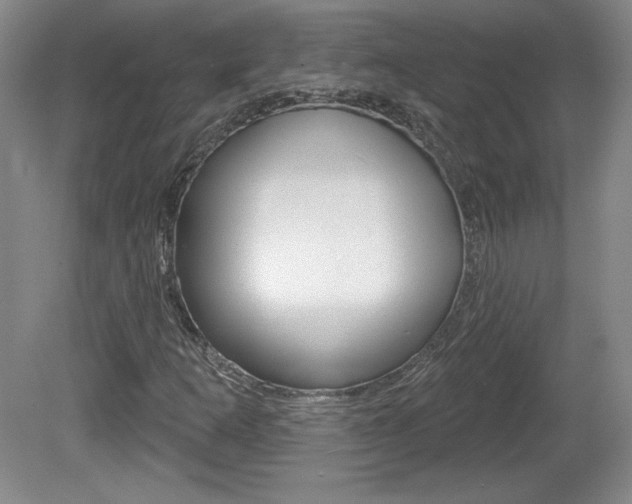 X0000080101253200612080920