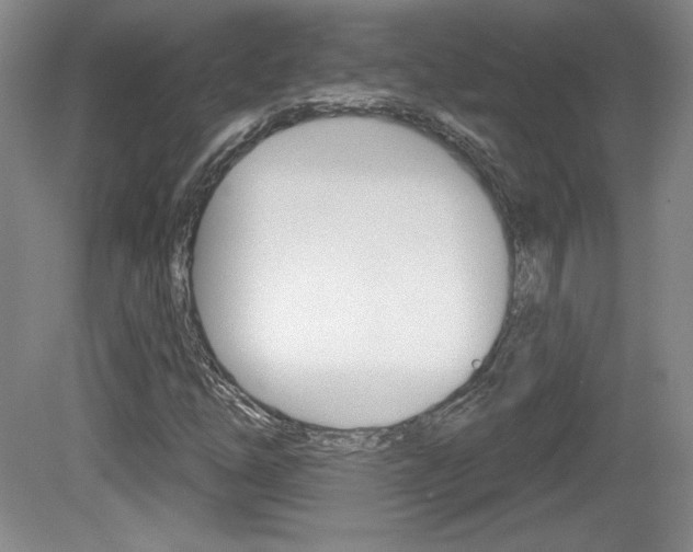 X0000080101254200612080920