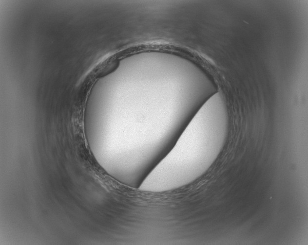 X0000080101255200612080920