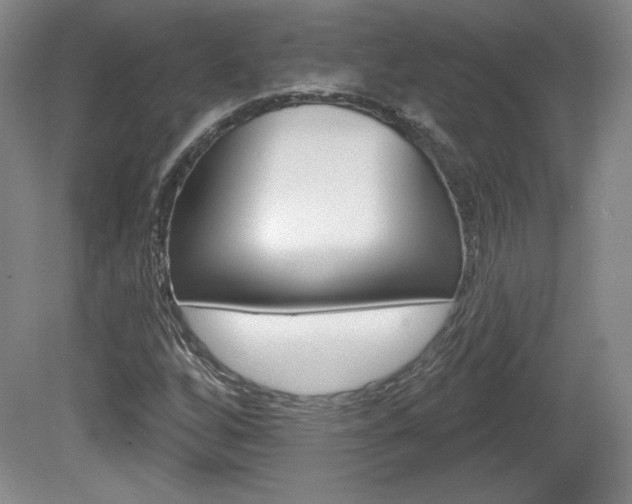 X0000080101256200612080920