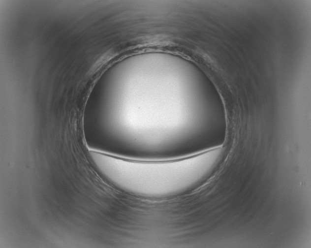 X0000080101257200612080920