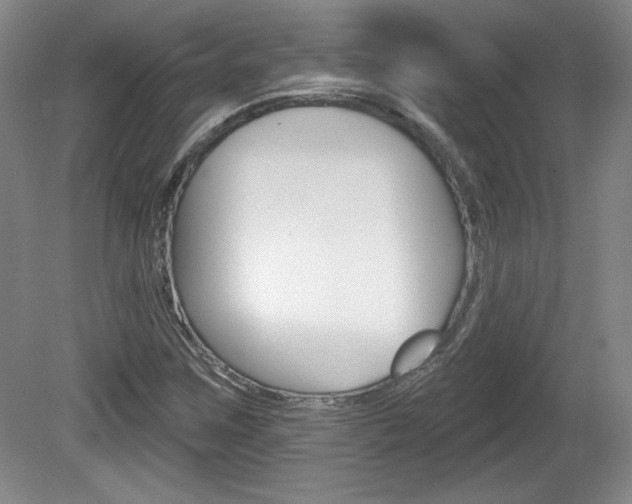 X0000080101259200612080920