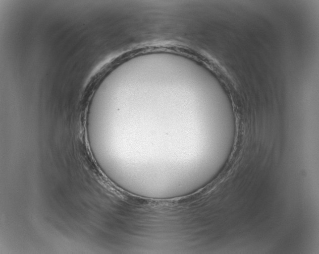 X0000080101262200612080920