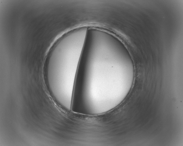 X0000080101264200612080920