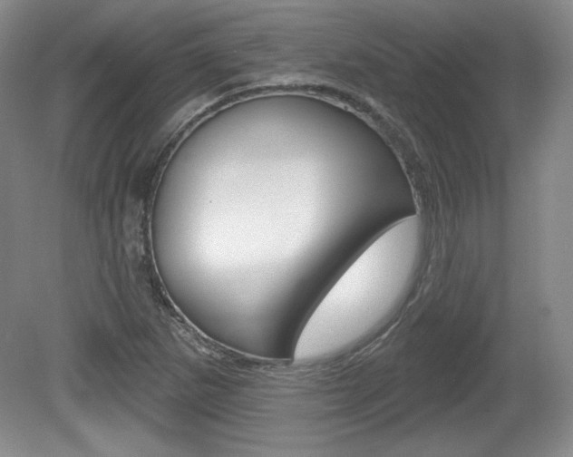 X0000080101265200612080920