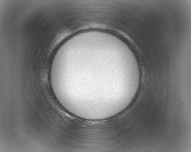 X0000080101266200612080920