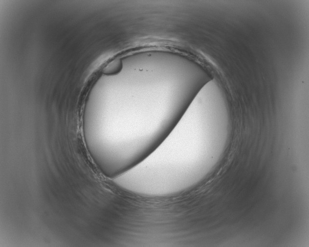 X0000080101267200612080920