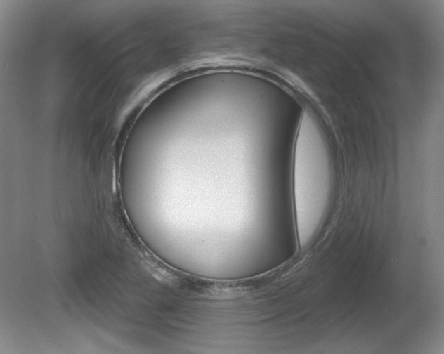 X0000080101269200612080920