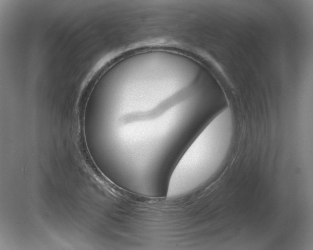 X0000080101270200612080920