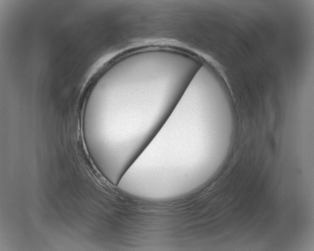 X0000080101271200612080920