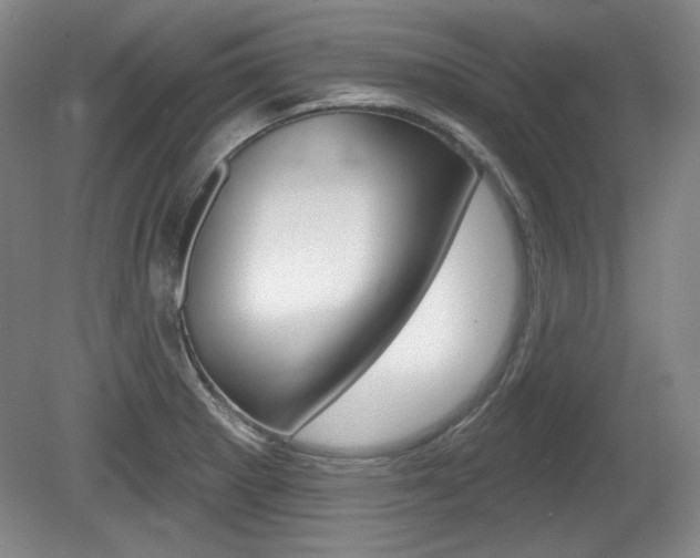 X0000080101281200612080920