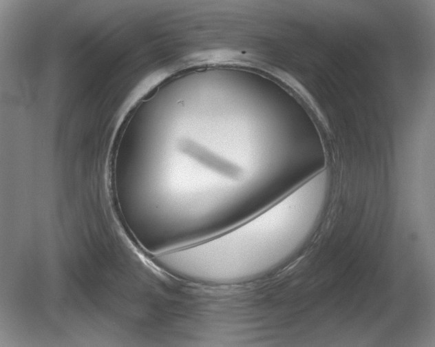 X0000080101285200612080920
