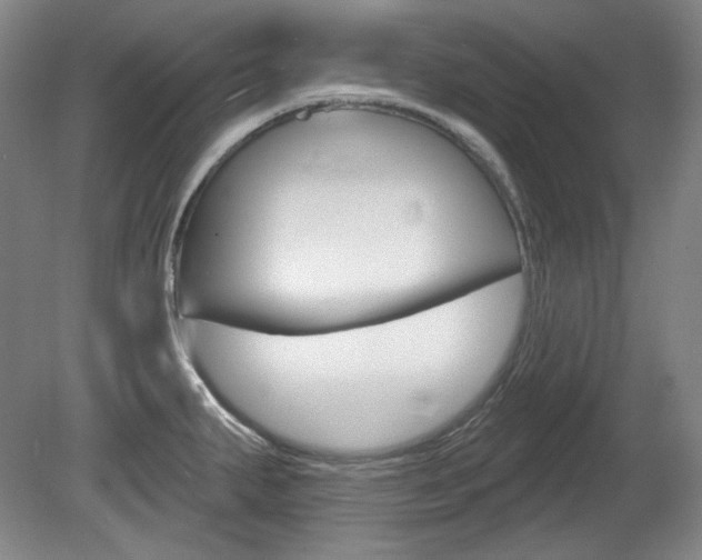 X0000080101287200612080920
