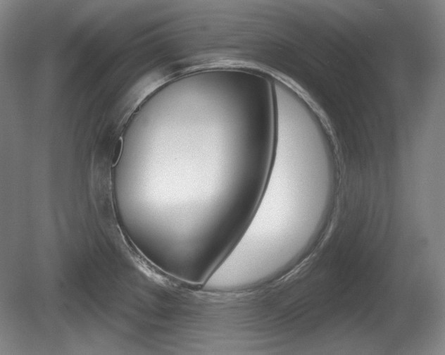 X0000080101289200612080920