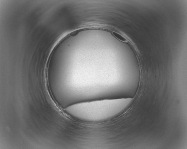 X0000080101291200612080920
