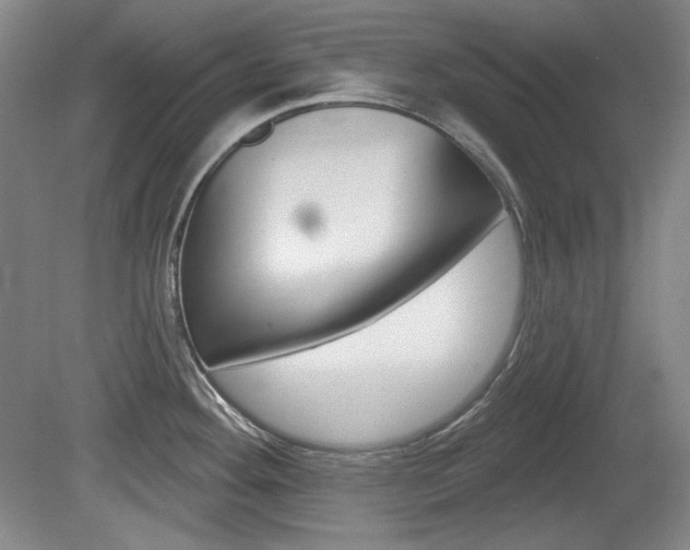 X0000080101292200612080920