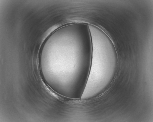X0000080101293200612080920