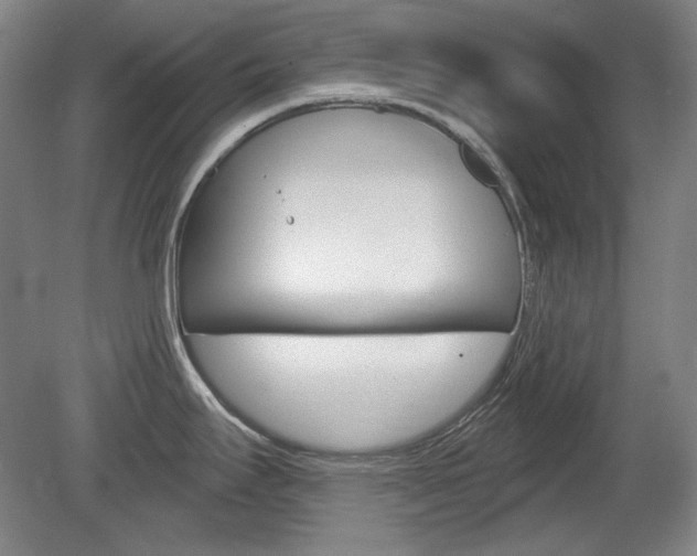 X0000080101295200612080920
