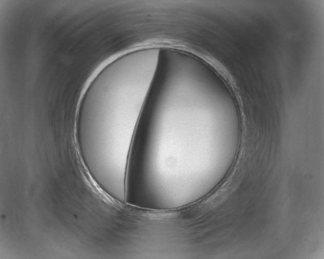 X0000080101296200612080920