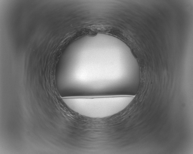 X0000080101297200612080919
