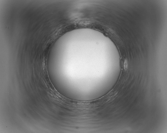 X0000080101299200612080919