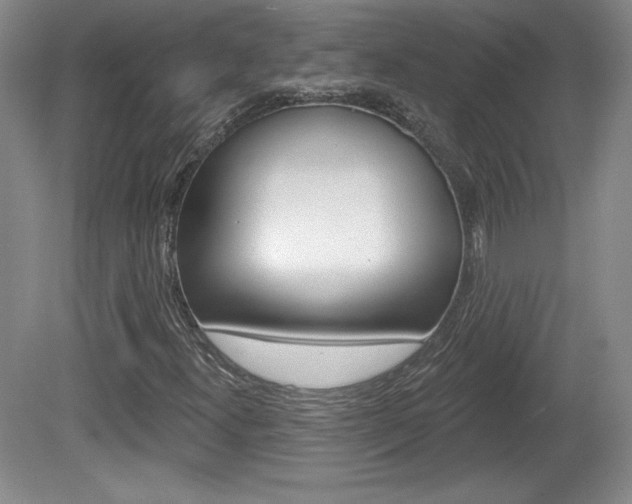 X0000080101300200612080919