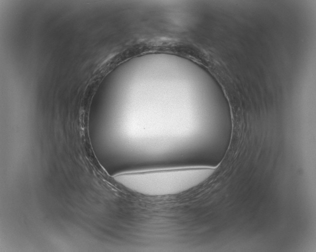X0000080101301200612080919