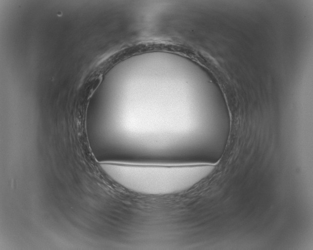 X0000080101303200612080919