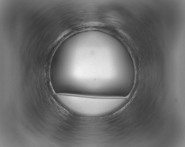 X0000080101305200612080919